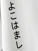 Moletom Dragão Yokohama🐉